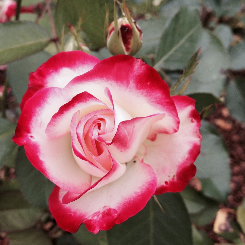 Closet Closing Sale!!